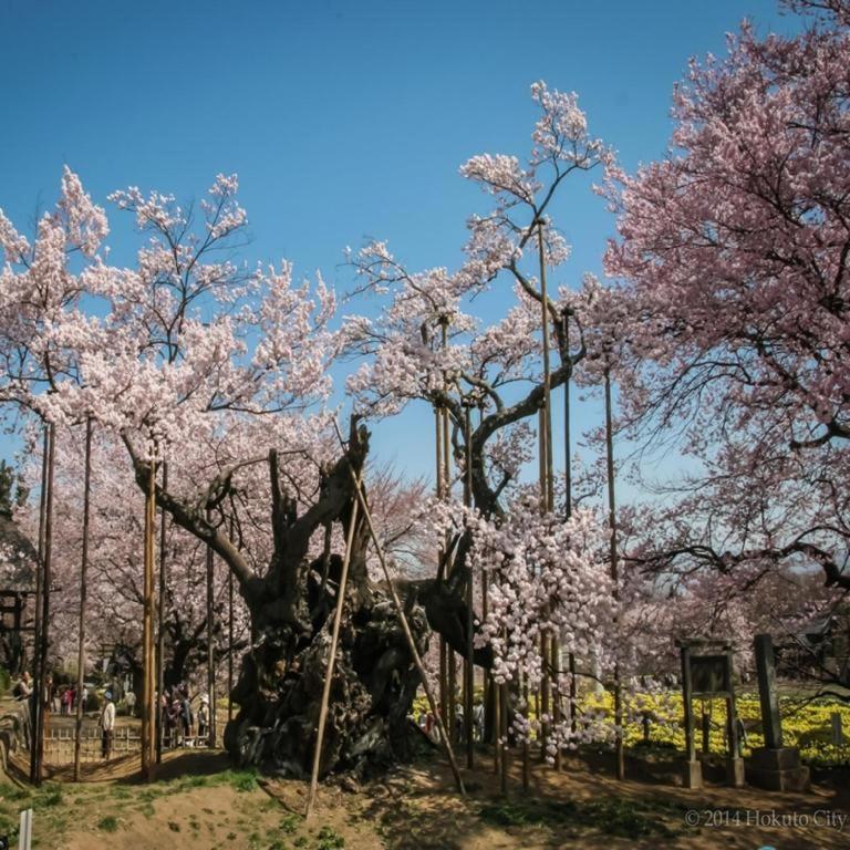 Izumigo Kiyosato Kogen Hotel Hokuto (Yamanashi) Exterior foto